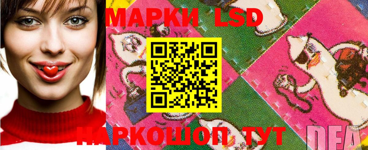 Зерноград  Наркотические марки 1,8мг  Вход с VPN  Наркотические марки 1,8мг 