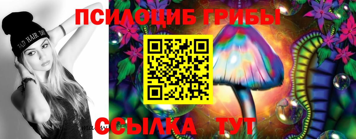 Псилоцибиновые грибы GOLDEN TEACHER Зерноград