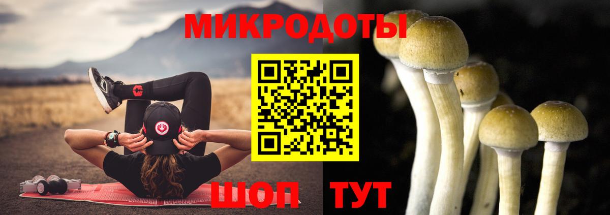 Галлюциногенные грибы Psilocybine cubensis  Вход с VPN  Галлюциногенные грибы Psilocybe  Зерноград 